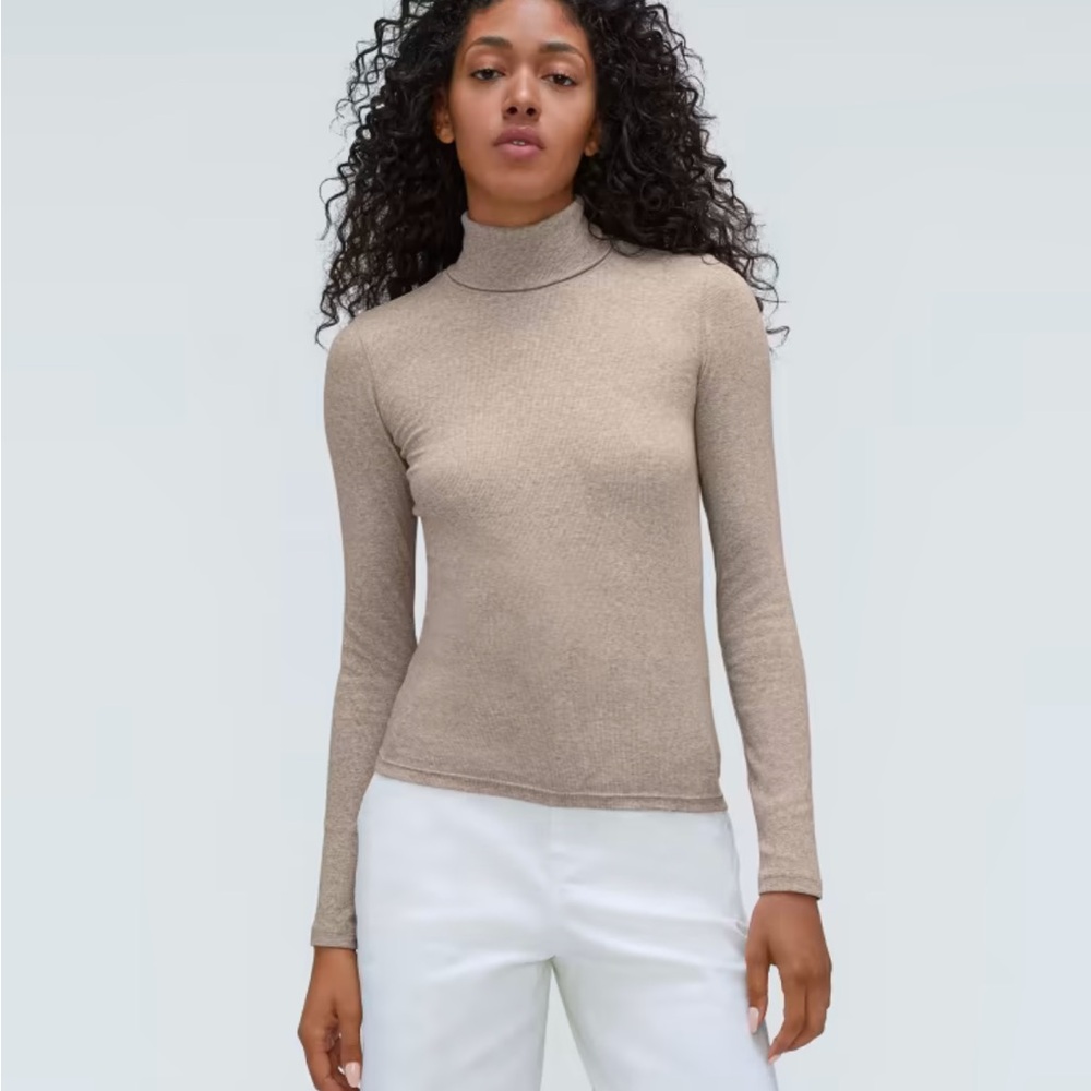 Everlane The Luxe Rib Turtleneck